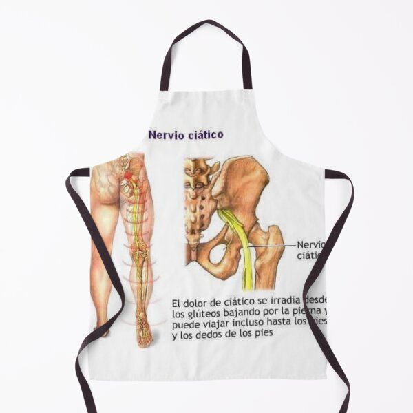 Item preview, aciatic nerve designed and sold by RenatoGuzman.