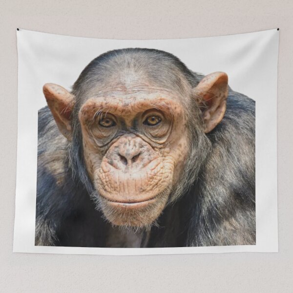 Item preview, Gorilla Image designed and sold by storeInsight.