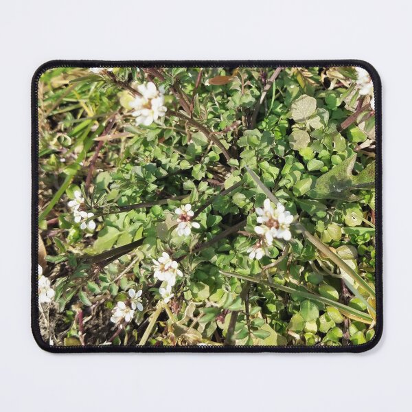 Item preview, Weeds, but also flowers? designed and sold by MooseDogPhotos.