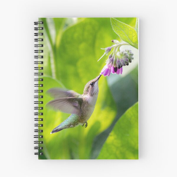 Item preview, Humming Bird Photograph Garden Feeding On Flower Nectar Frozen In Flight designed and sold by bayberrygal.