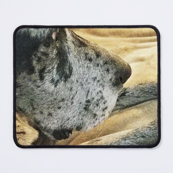 Item preview, MooseDog Nose designed and sold by MooseDogPhotos.