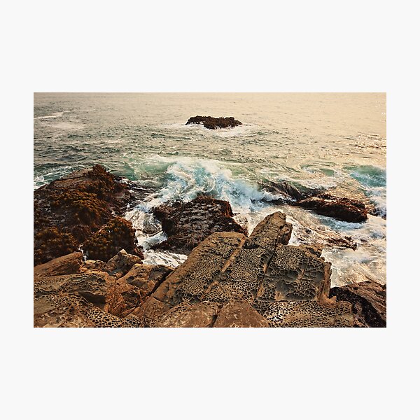 Item preview, Cradle of Life at Salt Point designed and sold by outdoorstudio.