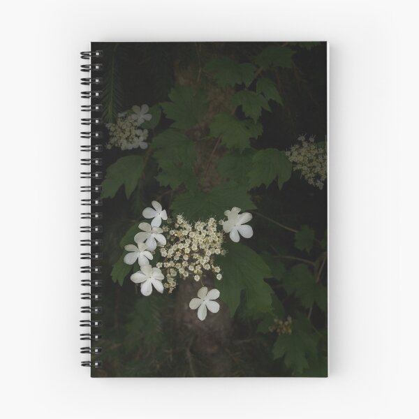 Item preview, Guelder Rose Flowers designed and sold by M G  Pettett.