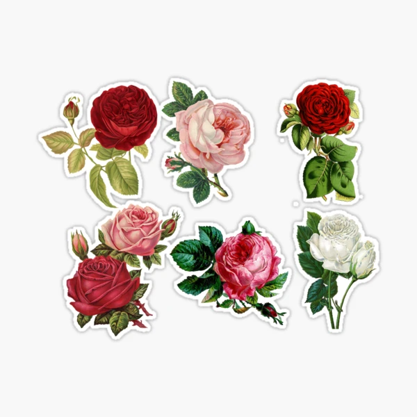 Pack de 45 Sticker ronds roses - TenStickers