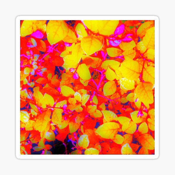 Bright Neon Leaves Sticker
