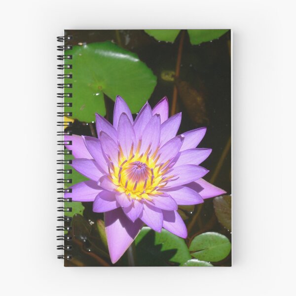 Item preview, Purple Water Lily designed and sold by Monika's Shop.