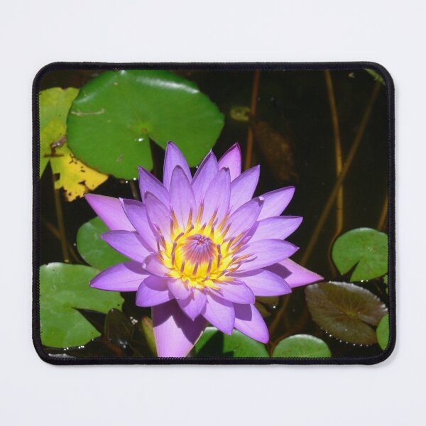 Item preview, Purple Water Lily designed and sold by Monika's Shop.