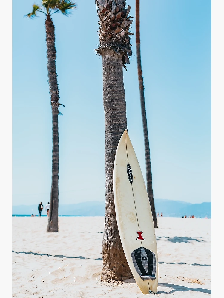 Surfboard Coconut Tree Beach Pampas Grass Wall Art Canvas Painting