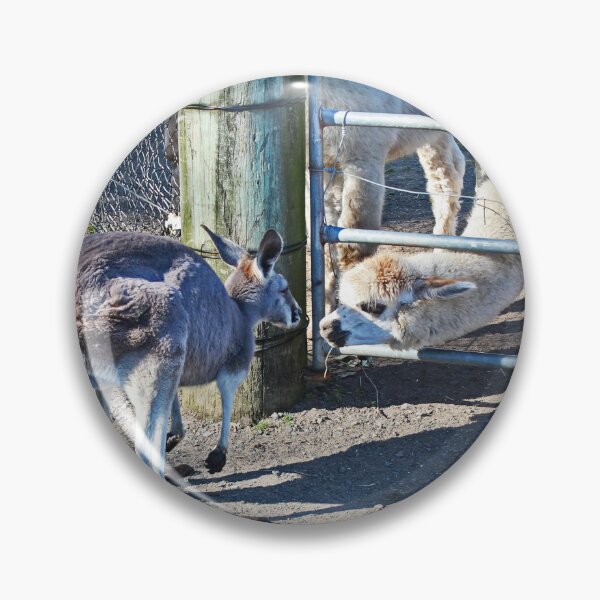 Item preview, the Kangas and the Llamas designed and sold by KazM.