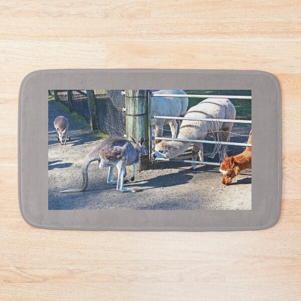 Item preview, the Kangas and the Llamas designed and sold by KazM.