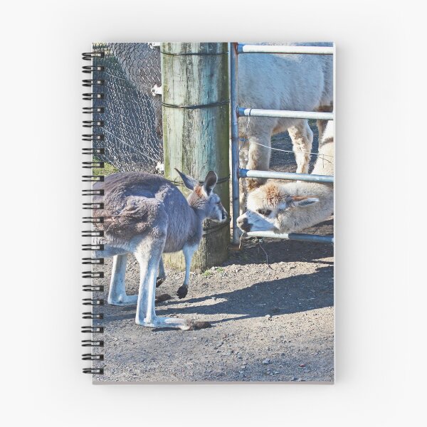 Item preview, the Kangas and the Llamas designed and sold by KazM.