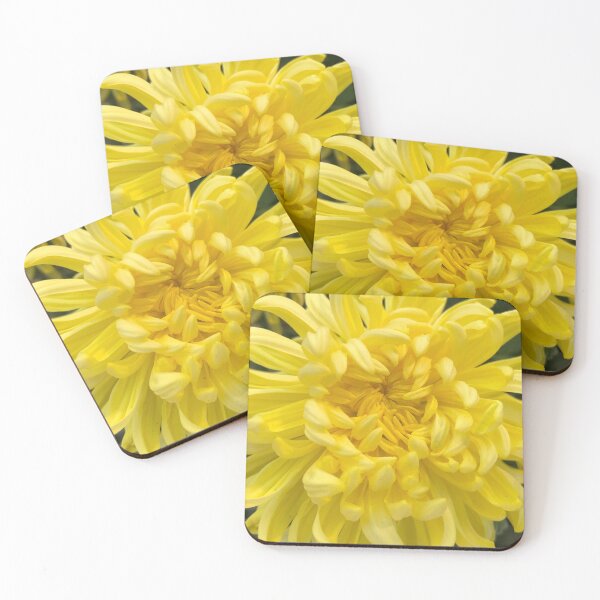 Aperçu de l'œuvre Le WOW du Dahlia Jaune créée et vendue par Photomersion.