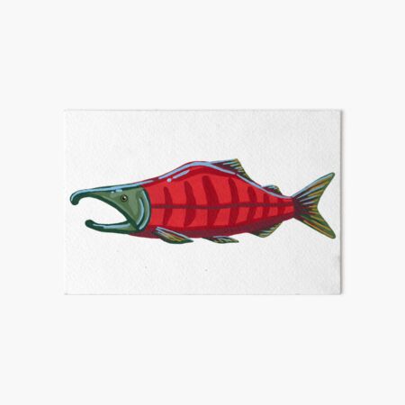 Pacific Salmon - Sockeye Salmon Art Board Print for Sale by paintedpansy