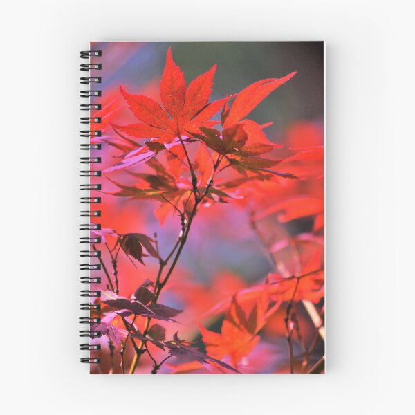 Item preview, Red Japanese Maple Leaves  designed and sold by Katherine Friesen.