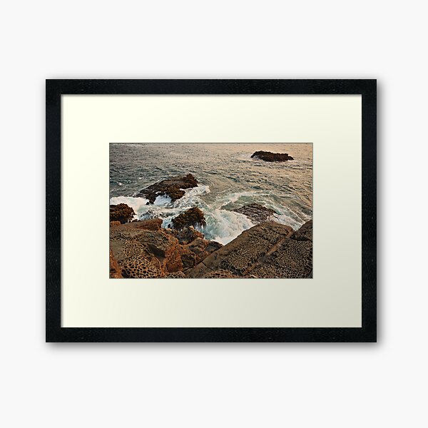Item preview, Sea Palms and Tafoni at Salt Point designed and sold by outdoorstudio.