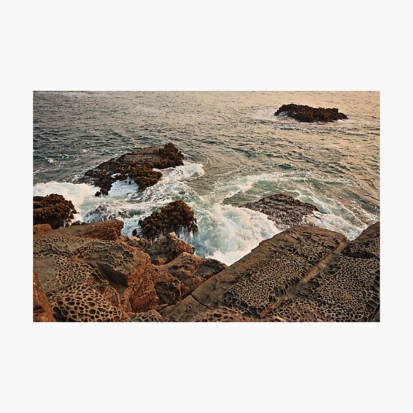 Item preview, Sea Palms and Tafoni at Salt Point designed and sold by outdoorstudio.