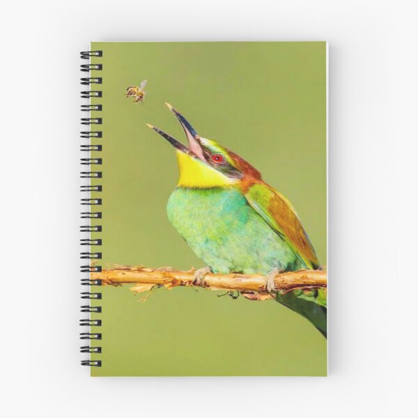 Item preview, Beautiful Tropical Bird Catching an Insect designed and sold by lets-travel.