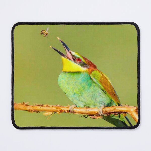 Item preview, Beautiful Tropical Bird Catching an Insect designed and sold by lets-travel.