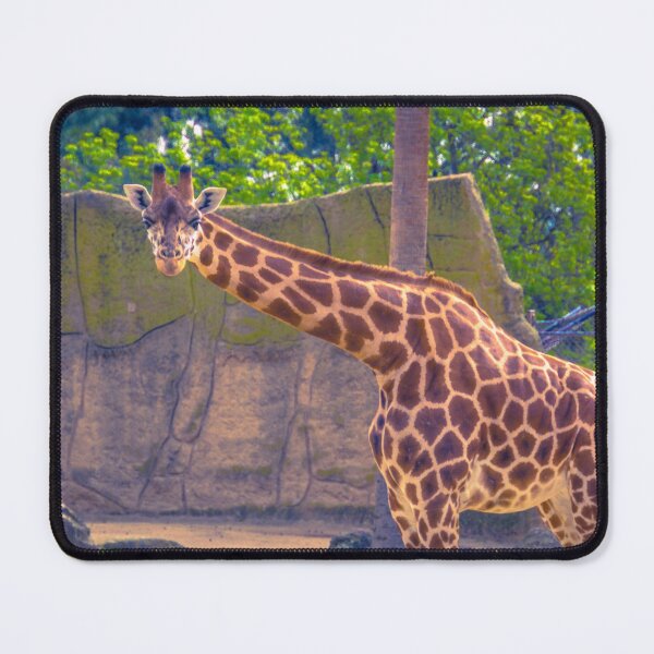 Item preview, Giraffe Gaffe designed and sold by Steven Jodoin.