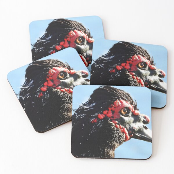 Item preview, Muscovy Ducks #0002 designed and sold by Jeffrey Mask.