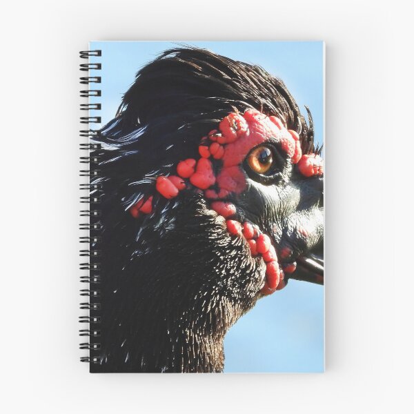 Item preview, Muscovy Ducks #0002 designed and sold by Jeffrey Mask.