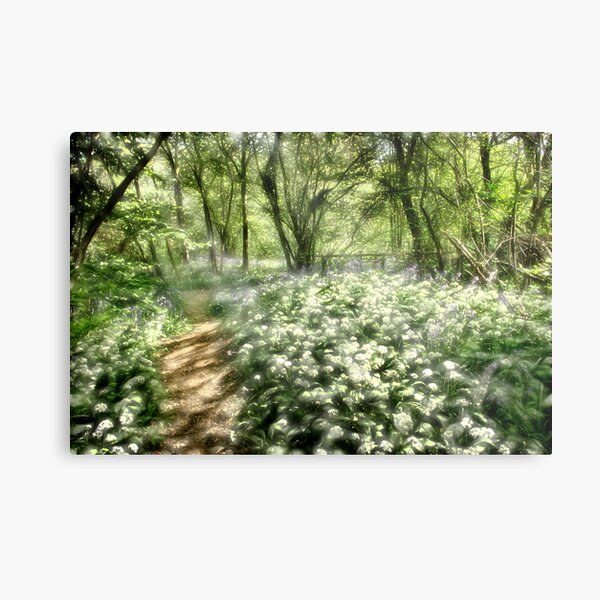 The Dell Metal Print