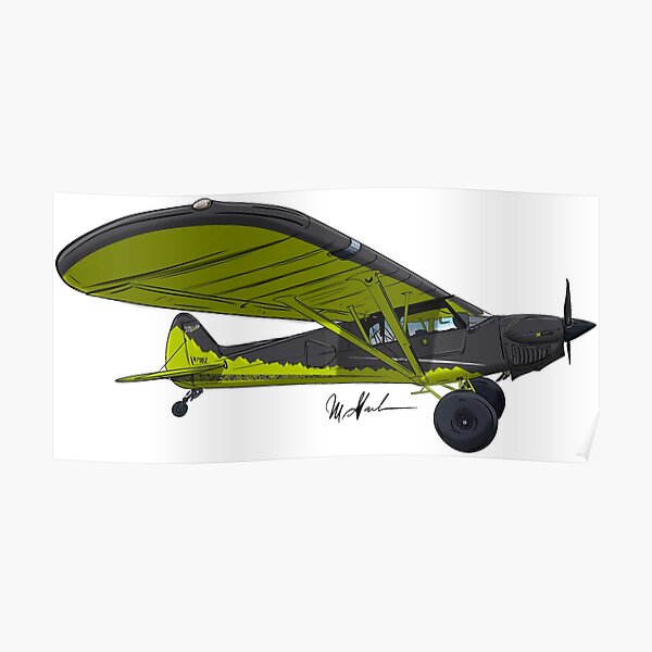 "Carbon Cub X Cub N798Z" Poster for Sale by Statepallets Redbubble