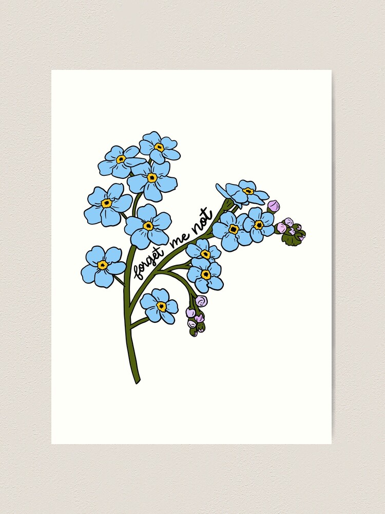 Forget-me-nots- Alaska's State Flower- Gouache art print