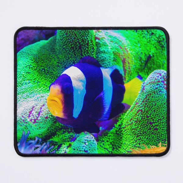 Item preview, Tropical Fish and Sea Anemone designed and sold by silviaol.