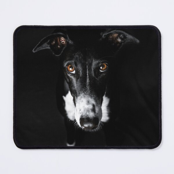 Item preview, Black and white greyhound designed and sold by houndpixnz.