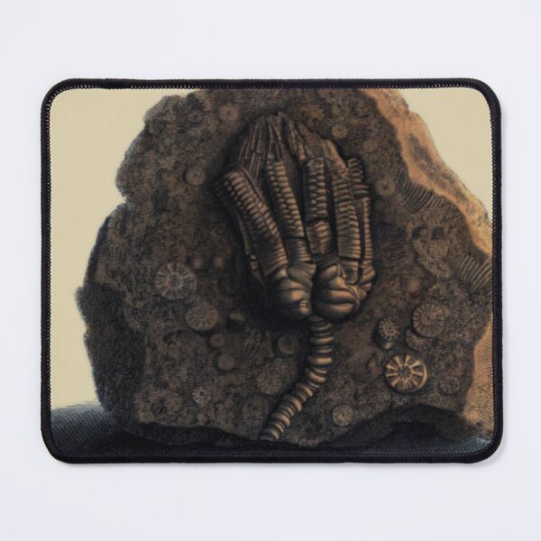 Item preview, Crinoid Calyx - Sea Lillie Blossom  designed and sold by DazellsEmporium.