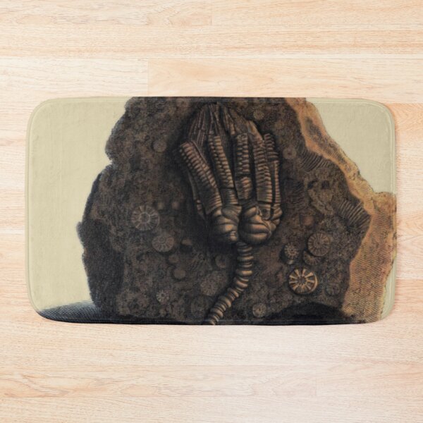 Item preview, Crinoid Calyx - Sea Lillie Blossom  designed and sold by DazellsEmporium.