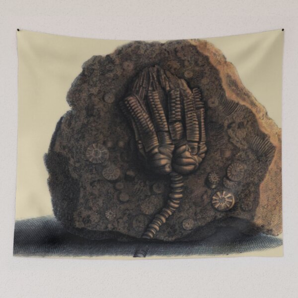 Item preview, Crinoid Calyx - Sea Lillie Blossom  designed and sold by DazellsEmporium.