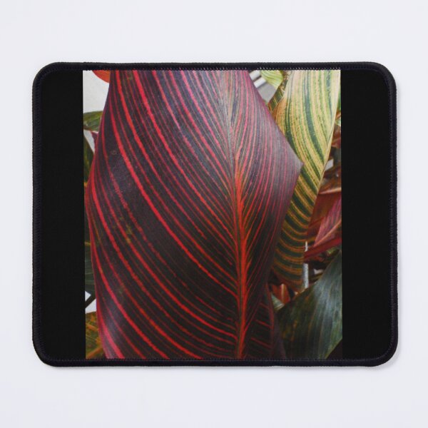 Item preview, Lovely Lined Leaves designed and sold by KazM.