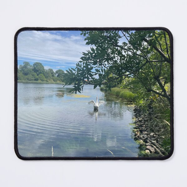 Item preview, Swan Lake • Christianshavn • July • 2022 designed and sold by Mortinus.