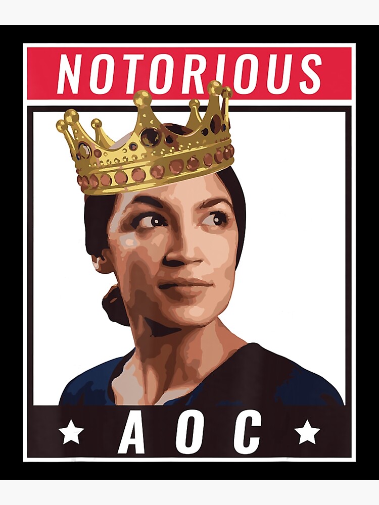 "Aoc 2024 American Vintage" Poster for Sale by shashaco Redbubble