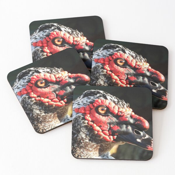 Item preview, Muscovy Duck #0003 designed and sold by Jeffrey Mask.