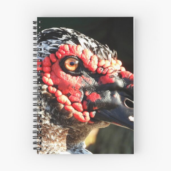 Item preview, Muscovy Duck #0003 designed and sold by Jeffrey Mask.