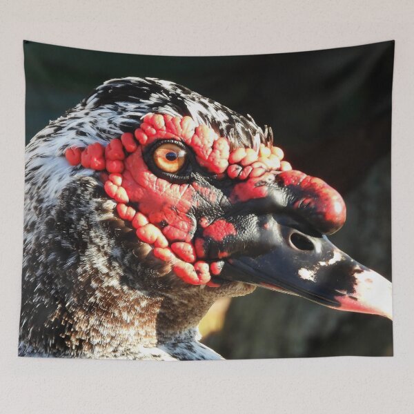 Item preview, Muscovy Duck #0003 designed and sold by Jeffrey Mask.