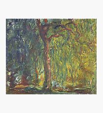 Weeping Willow by Claude Monet Photographic Print