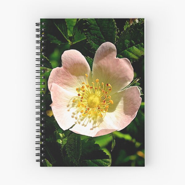 Item preview, Dog Rose designed and sold by John Thurgood.