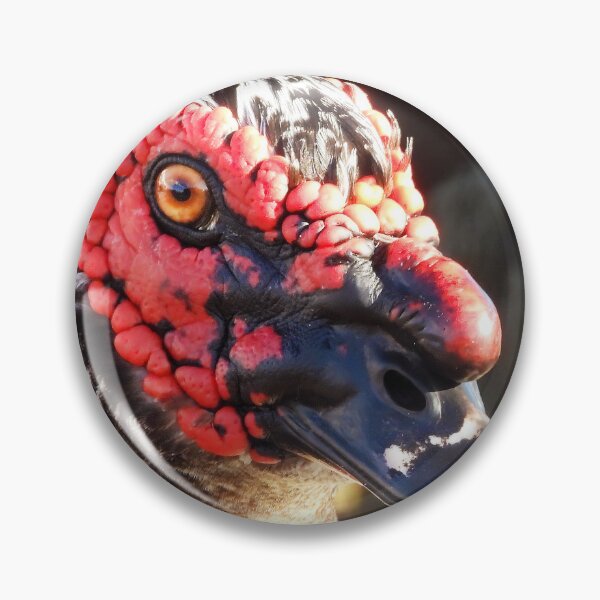 Item preview, Muscovy Duck #0004 designed and sold by Jeffrey Mask.