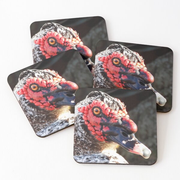 Item preview, Muscovy Duck #0004 designed and sold by Jeffrey Mask.