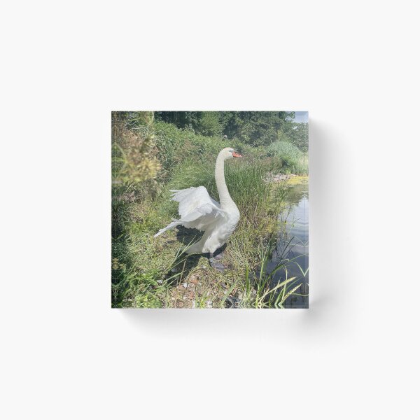 Item preview, Swan Angel • Green and White • 4 • 2022 designed and sold by Mortinus.