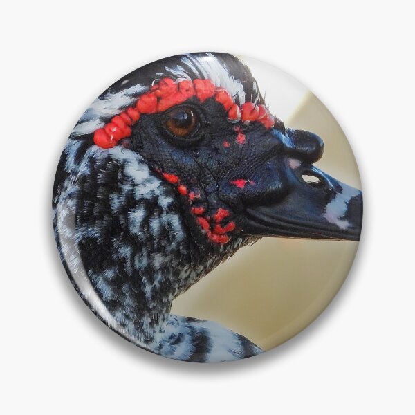 Item preview, Muscovy Duck #0005 designed and sold by Jeffrey Mask.