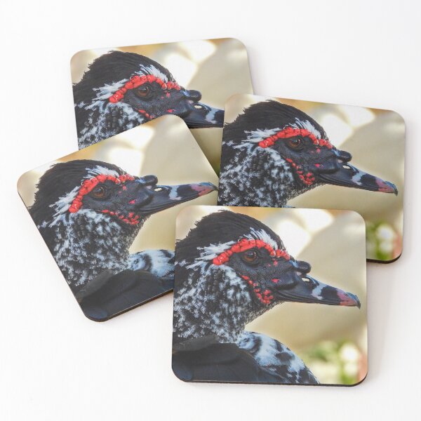 Item preview, Muscovy Duck #0005 designed and sold by Jeffrey Mask.