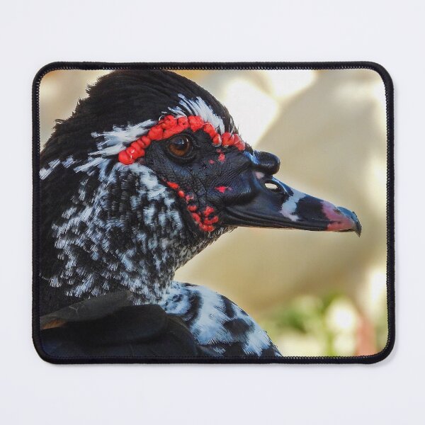 Item preview, Muscovy Duck #0005 designed and sold by Jeffrey Mask.