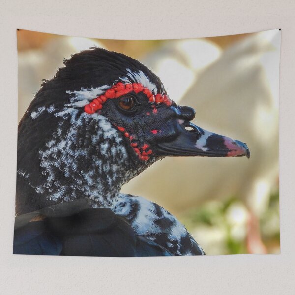 Item preview, Muscovy Duck #0005 designed and sold by Jeffrey Mask.