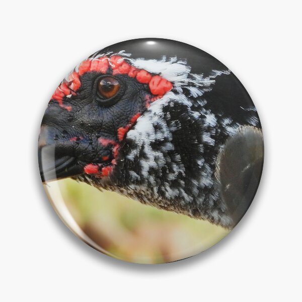 Item preview, Muscovy Duck #0006 designed and sold by Jeffrey Mask.
