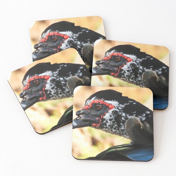 Item preview, Muscovy Duck #0006 designed and sold by Jeffrey Mask.
